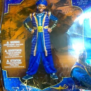 Disney Alladin Story Genie